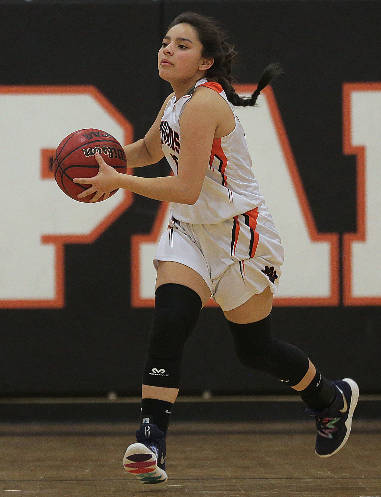 Owyhee at Wells Girls Basketball (1).jpg
